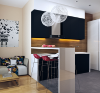 small-modern-loft-kitchen-with-bar